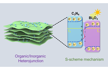 Unveiling the interfacial charge dynamics in organic/inorganic C3N4/Bi2O3 S-scheme heterojunction for efficient solar-driven H2O2 synthesis 2026.100869